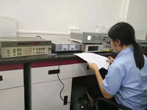 專業保障，精準計量 隴西電力廠儀器儀表校準檢測服務